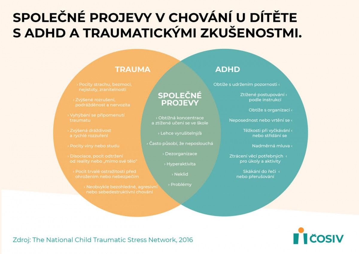 Společné projevy v chování dítěte s ADHD a traumatickými zkušenostmi